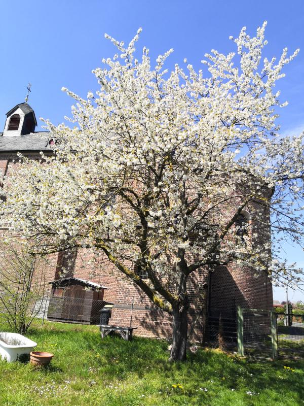 Offener Treff - Garten